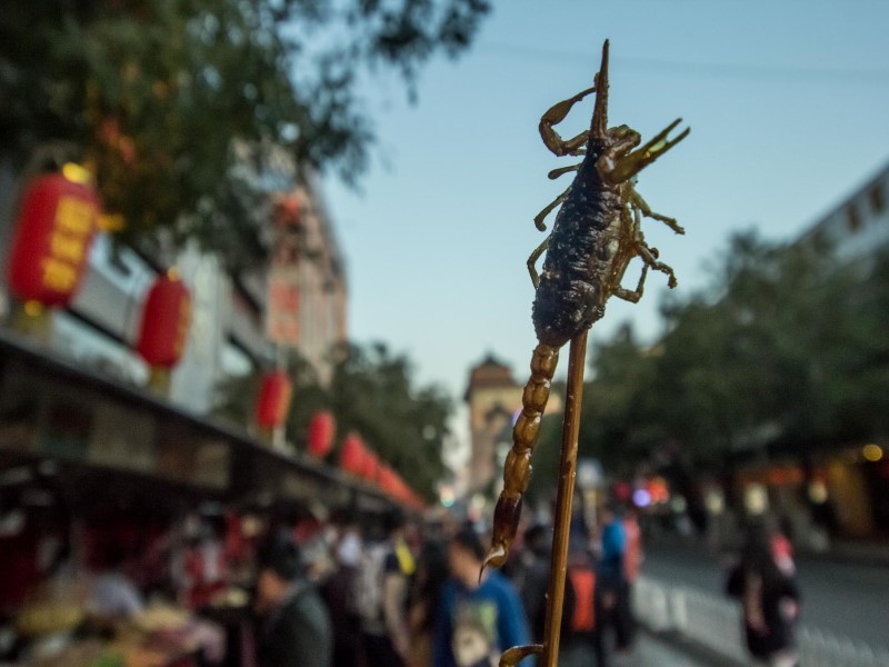 عقرب، غذای عجیب خیابان‌های چین